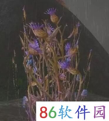 浪花直播app下载安装浪花直播838