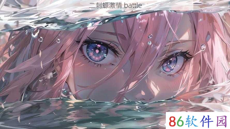 二刺螈激情 battle