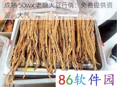 成熟 50wx 老狼大豆行情：免费提供资源，大气