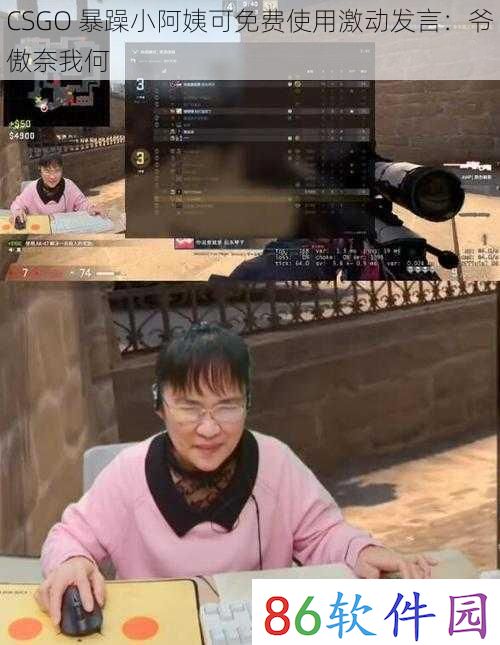 CSGO 暴躁小阿姨可免费使用激动发言：爷傲奈我何