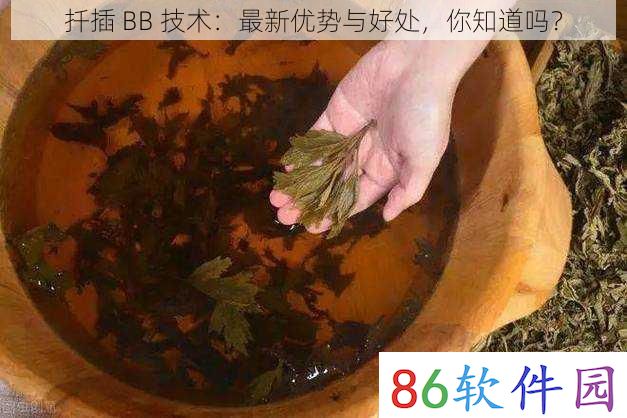 扦插 BB 技术：最新优势与好处，你知道吗？