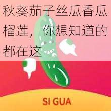 秋葵茄子丝瓜香瓜榴莲，你想知道的都在这