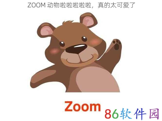 ZOOM 动物啦啦啦啦啦，真的太可爱了