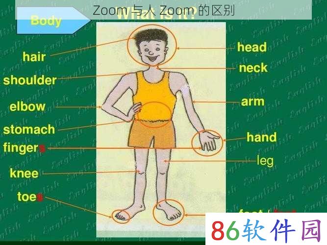 Zoom 与人 Zoom 的区别