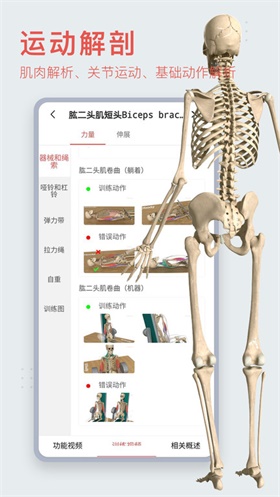 3dbody解剖app下载-3dbody解剖app免费版下载V8.8.22