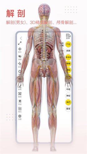 3dbody解剖app下载-3dbody解剖app免费版下载V8.8.22