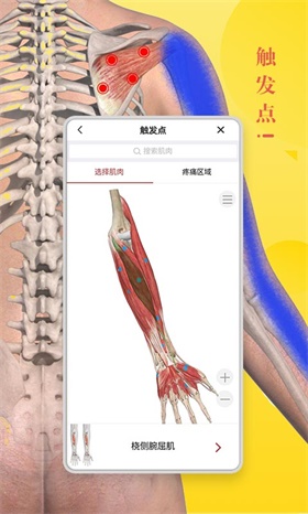 3dbody解剖app下载-3dbody解剖app免费版下载V8.8.22