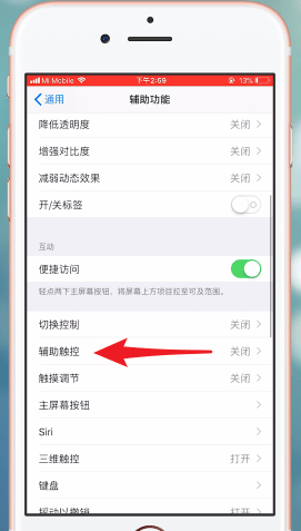 ios12悬浮球在哪